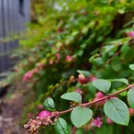 度假居 Tiny House Pfalz Wellness Und Wanderurlaub Oberweiler-Tiefenbach