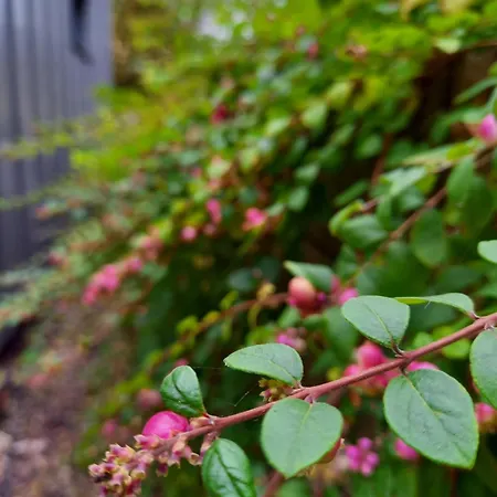 度假居 Tiny House Pfalz Wellness Und Wanderurlaub Oberweiler-Tiefenbach